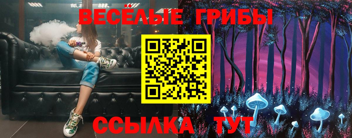 Псилоцибиновые грибы Psilocybe  Псилоцибиновые грибы Psilocybine cubensis  где купить наркоту  Стрежевой  Вход с VPN 