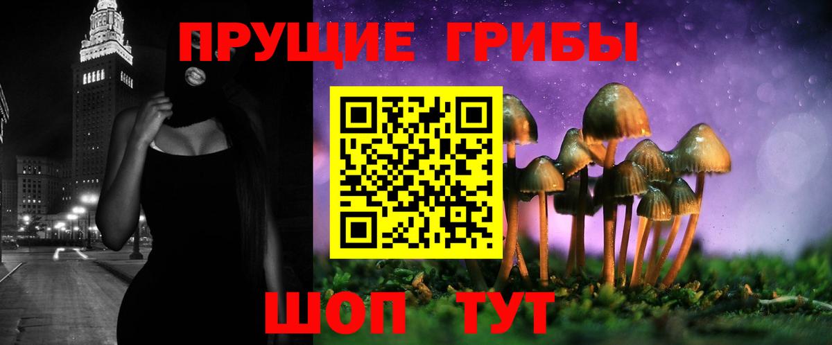 Псилоцибиновые грибы Psilocybe Стрежевой